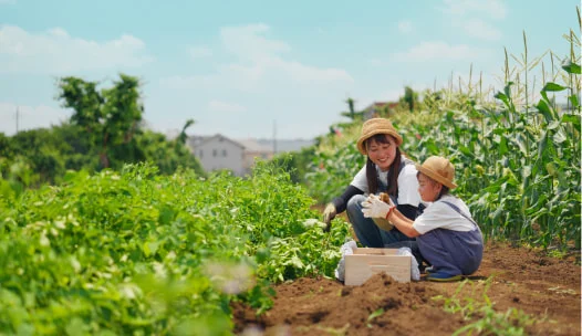 畑で野菜を収穫する親子
