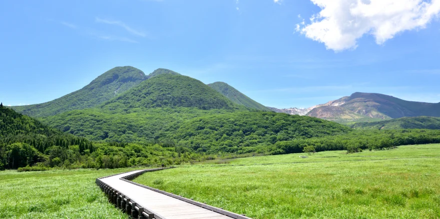 九重連山と木道が続く高原の湿原