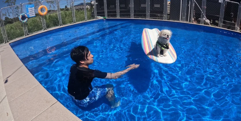 プールで愛犬と遊ぶN. Y.