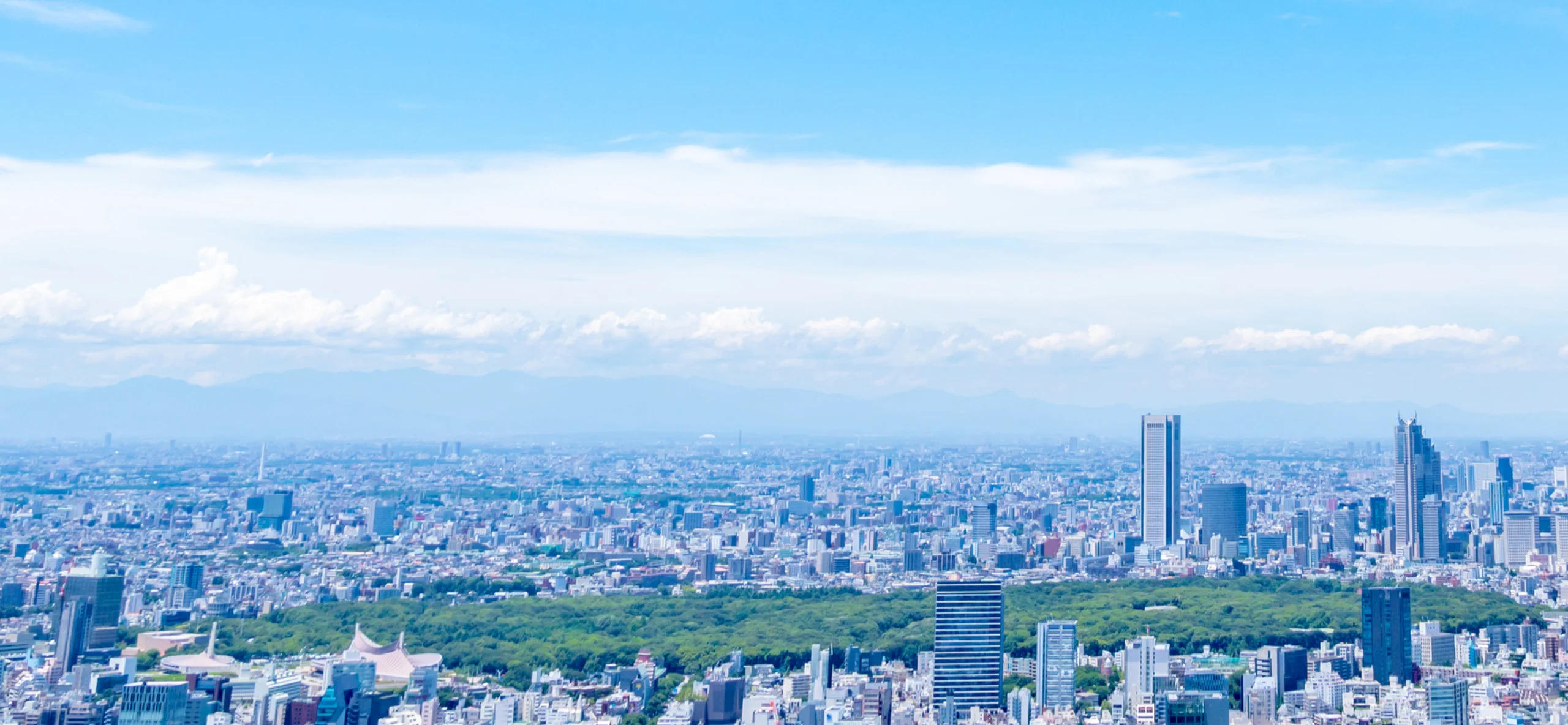 青空の下に広がる新宿方面の東京の街並み